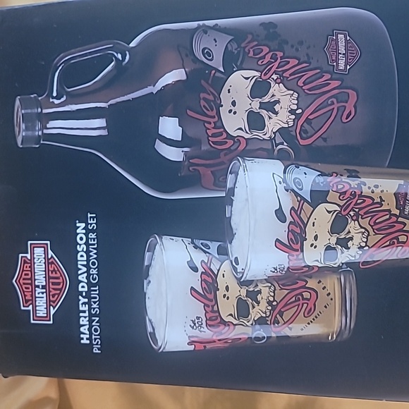 HarleyDavidson Other Harley Davidson Piston Skull Growler Set
